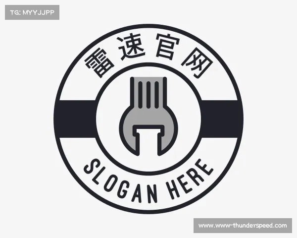 介绍雷速专业数据分析